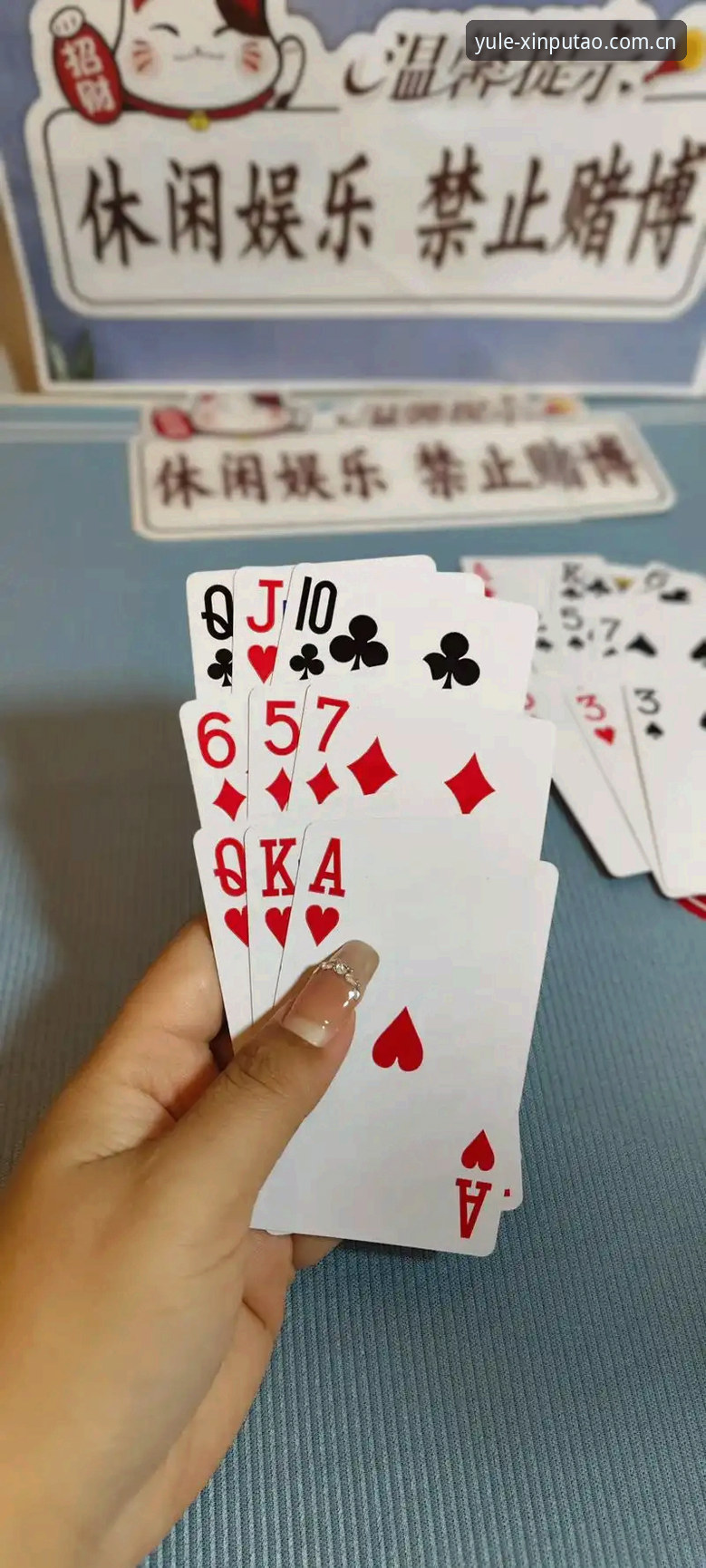 新葡萄娱乐安卓版安装教程全面评测：2025年最新棋牌平台新手体验报告
